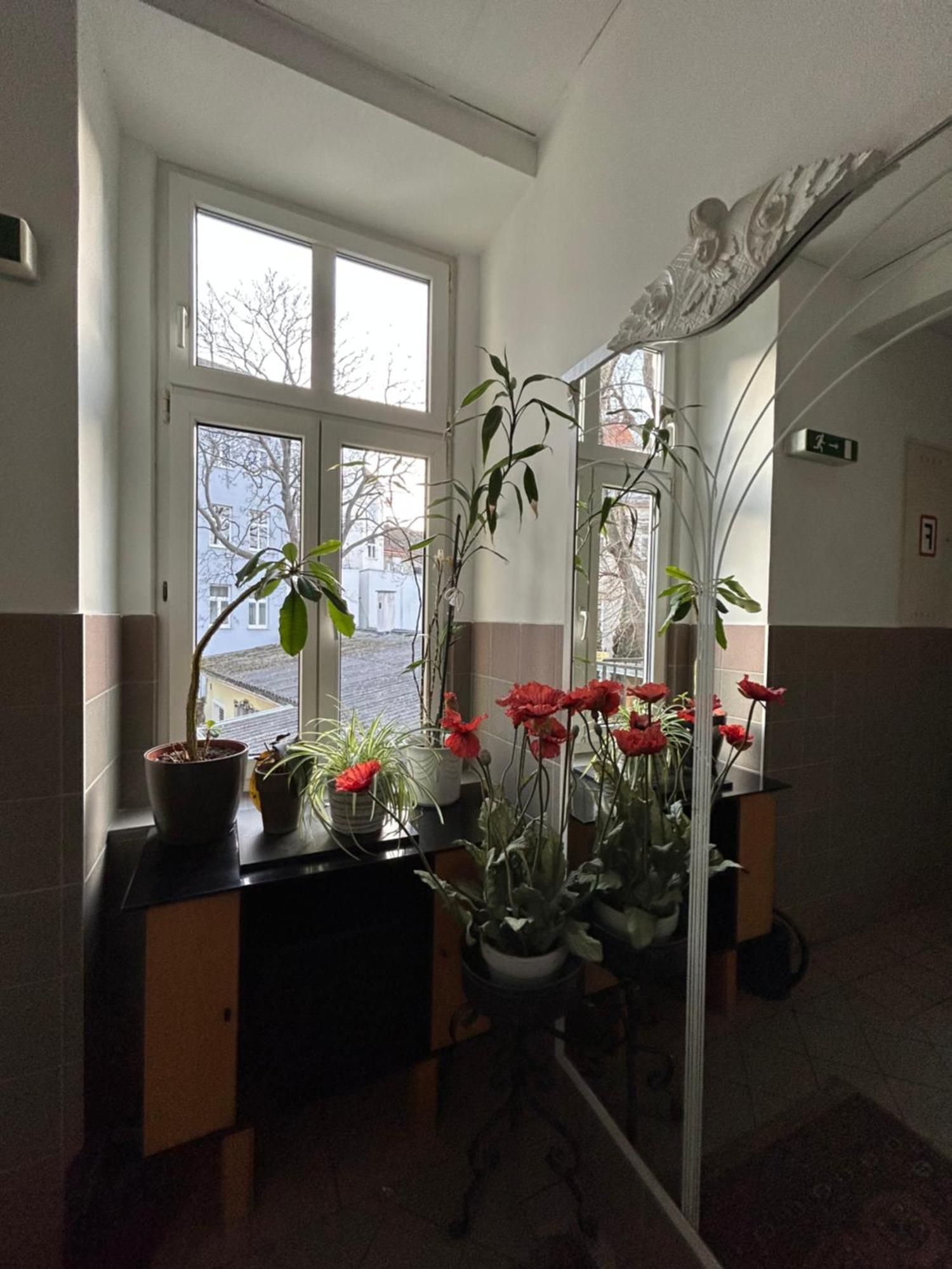 Reiner Apartment Wien Exteriör bild